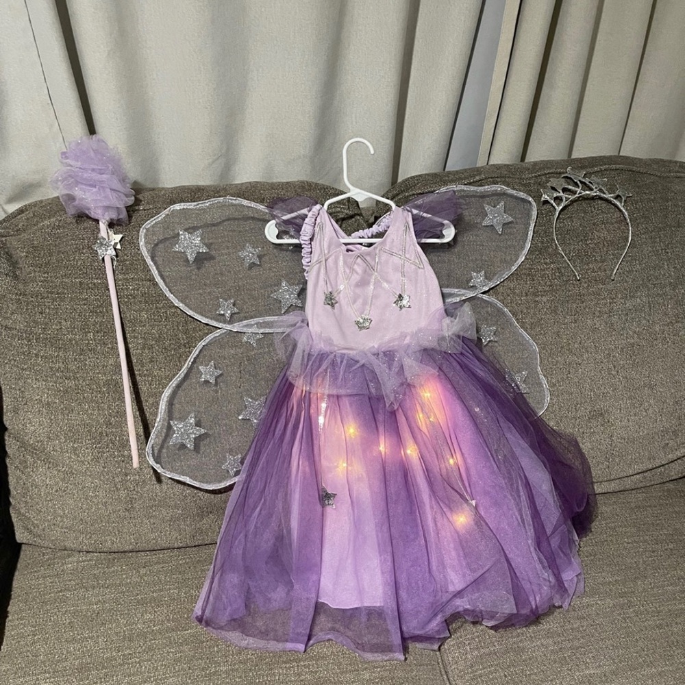 Pottery barn fairy dress